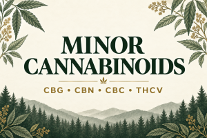 Minor cannabinoids: CBG, CBN, CBC and THCV, with botanical illustrations.